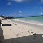 Garden In Paradise