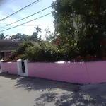 Da Pink And White Castle