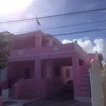 Da Pink And White Castle
