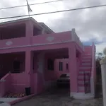 Da Pink And White Castle