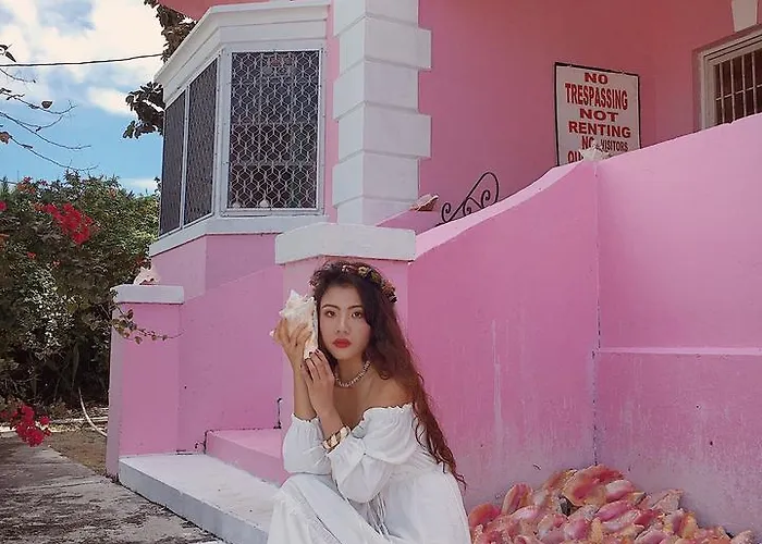 Da Pink And White Castle
