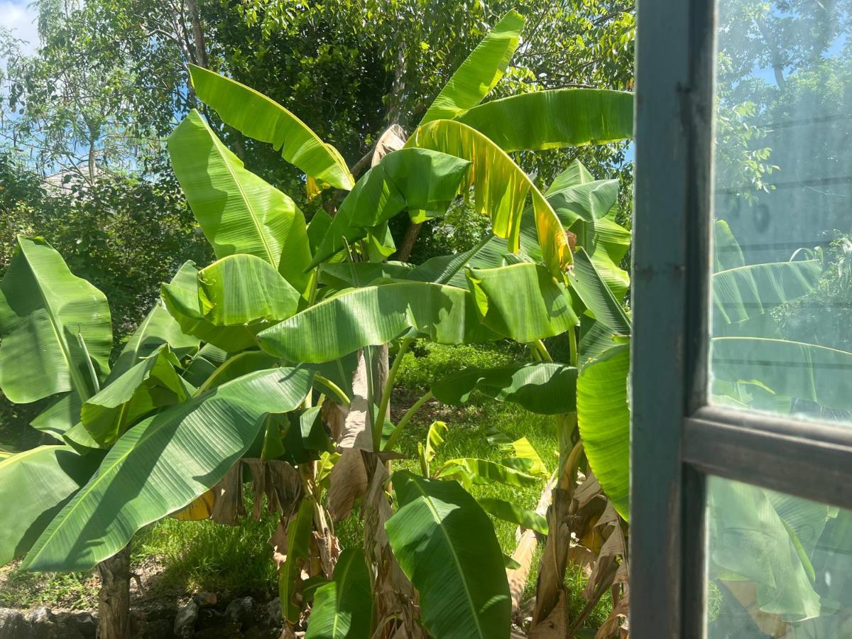 Garden Penthouse * Nassau