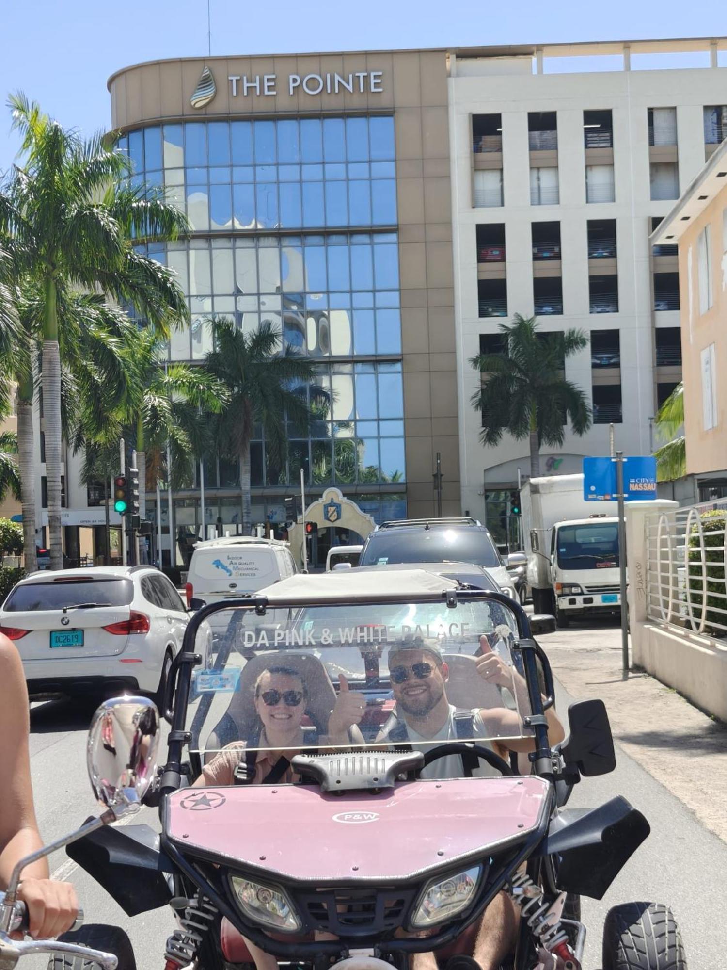 Albergue Da Pink And White Palace