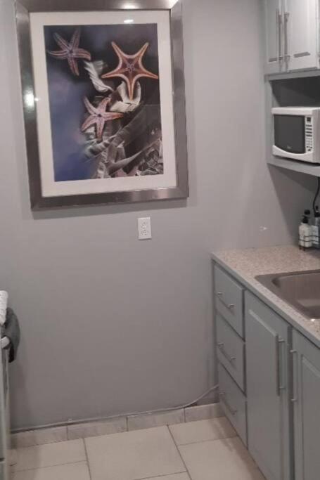 Apartment Cozy Getaway Studio Airbnb Nassau