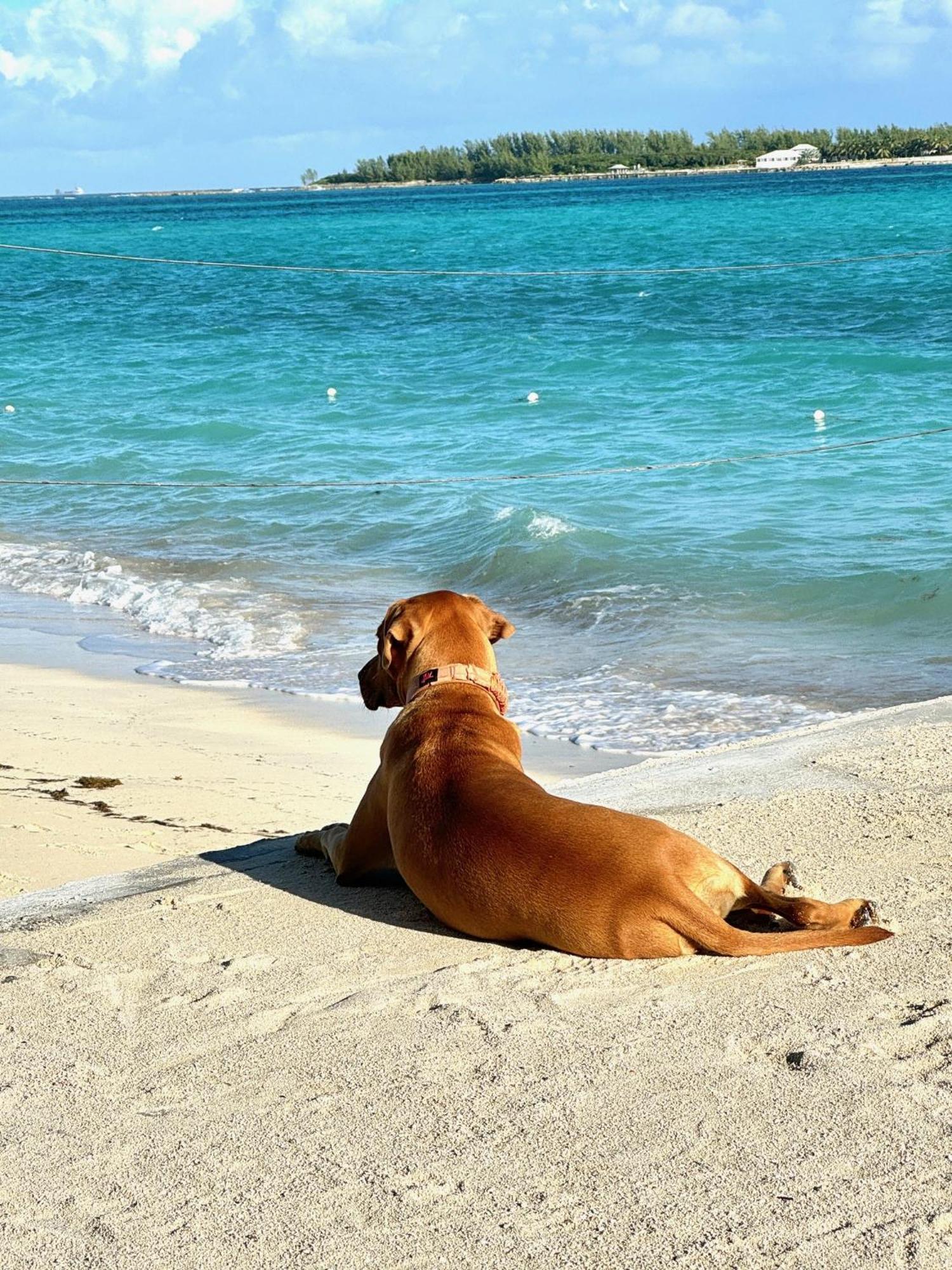 Delightful - 30 Secs Walk To The * Nassau