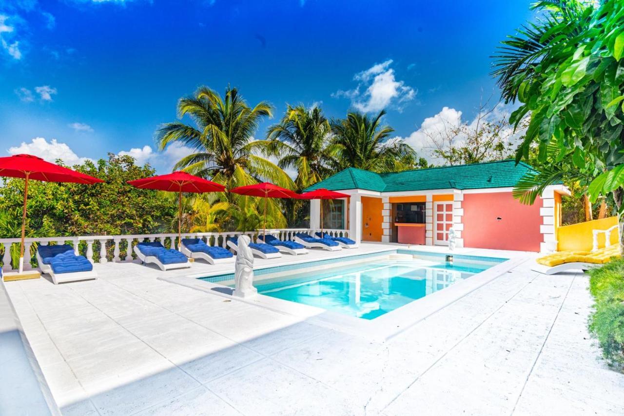Parrot At Viking Hill - Apartment Nassau
