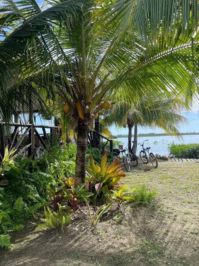 Hidden Paradise - *