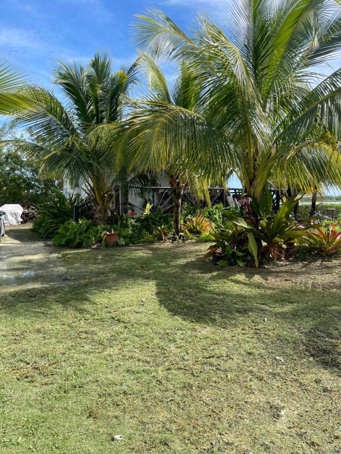 Hidden Paradise -