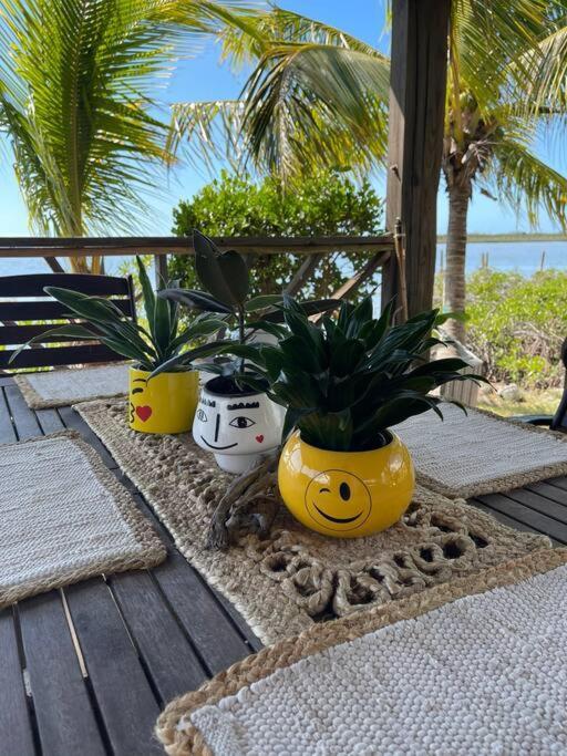 Ferienhaus Hidden Paradise - *