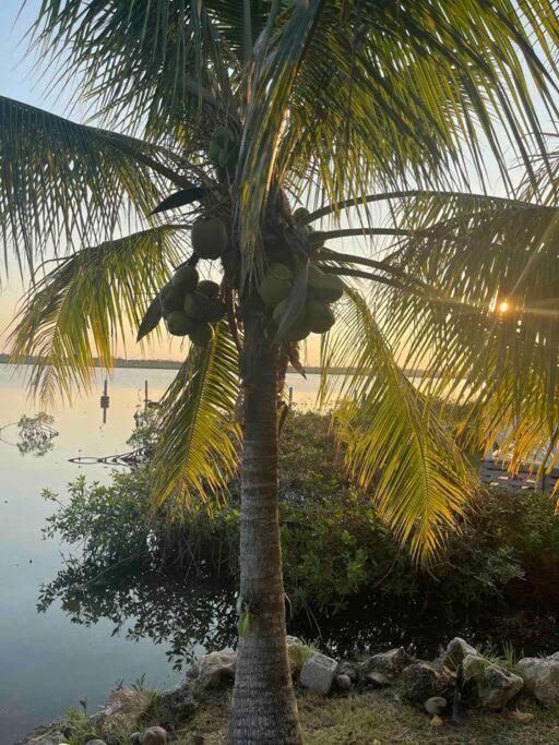 Hidden Paradise - Nassau