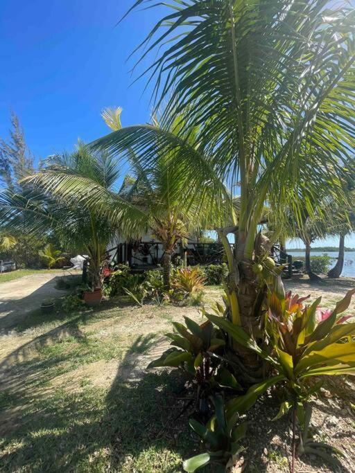 Hidden Paradise -