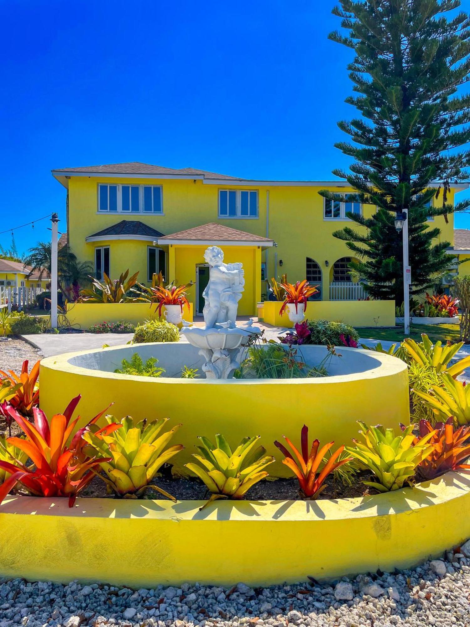Golden Palms House Bed & Breakfast 3*