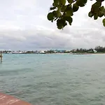 Seashells By The Seashore - Absolute Waterfront