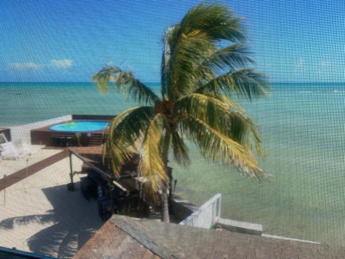 New Starfish Villa - Calypso House Apartamento Nassau