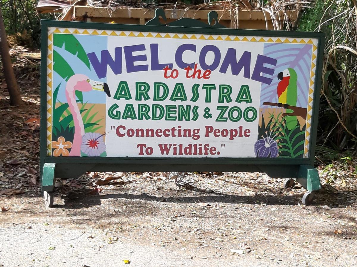 Tropical Hideaway Apartment Nassau